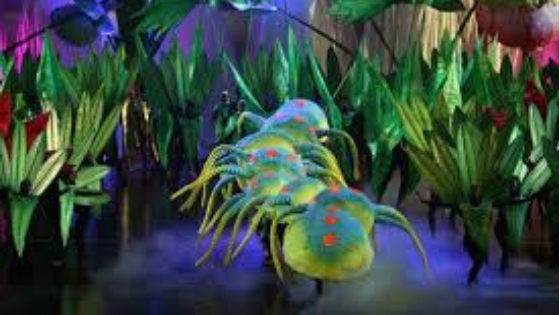 Dimanche Gras 2010, Davlin Thomas